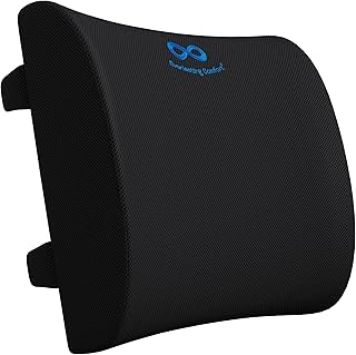 Everlasting Comfort Lumbar Support Cushion for Car Seat and Office Chair - Memory Foam Back Rest - Back Support Cushion for Chair with Adjustable Straps for Office & Car Use