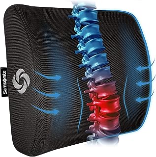 Samsonite Ergonomic Lumbar Support Pillow for Office Chair, Gaming Chair, or Car, Memory Foam Cushion with Ventilated Mesh and Adjustable Strap