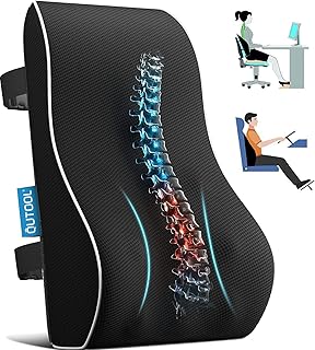 Best Lumbar Support Cushions