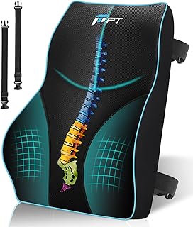 Lumbar Support Cushion, Memory Foam Back Support Cushion Lumbar Support for Office Chair, Car Seat, Recliner, with Extension Strap and Mesh Cover