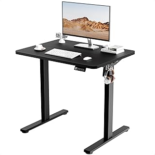 ERGOMAKER Electric Height Adjustable Standing Desk 80x60cm (31.5