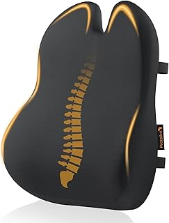 Best Lumbar Support Cushions